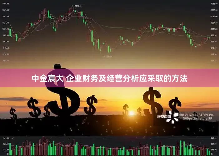 中金宸大 企业财务及经营分析应采取的方法